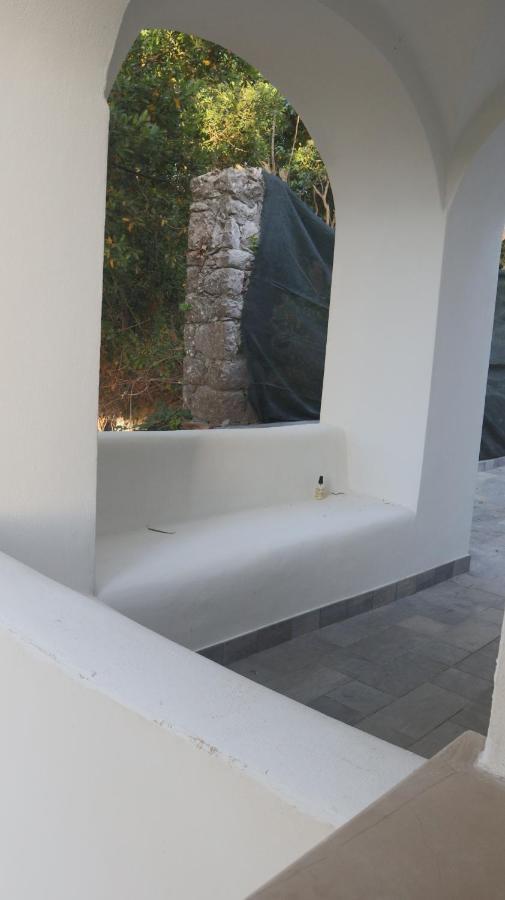 Villa Enrica Κάπρι Εξωτερικό φωτογραφία