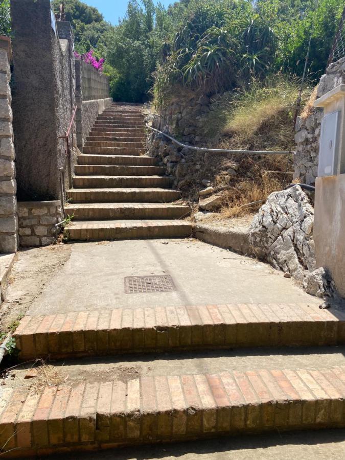 Villa Enrica Κάπρι Εξωτερικό φωτογραφία