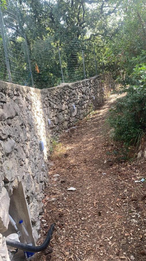 Villa Enrica Κάπρι Εξωτερικό φωτογραφία