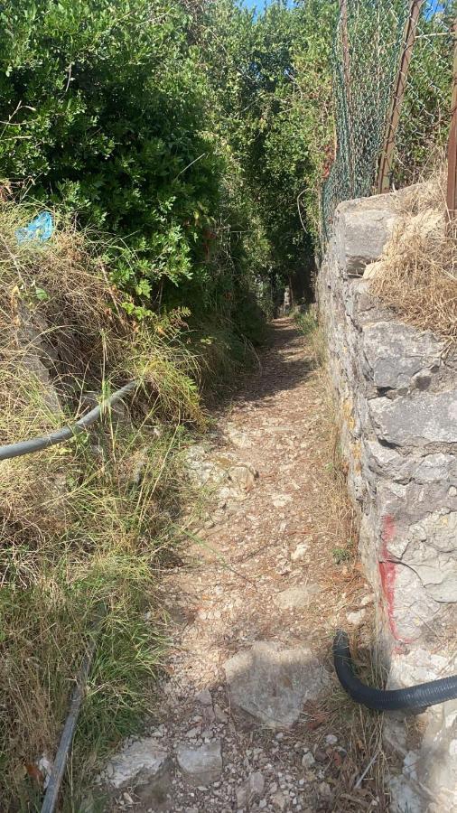 Villa Enrica Κάπρι Εξωτερικό φωτογραφία